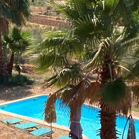La Venturonne Appartement Neuf Rez De Jardin 45 M2 Vue Mer Et Vignes 10 Mn Des Plages Le Beausset Exteriör bild
