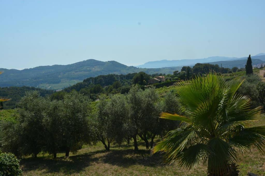 La Venturonne Appartement Neuf Rez De Jardin 45 M2 Vue Mer Et Vignes 10 Mn Des Plages Le Beausset Exteriör bild